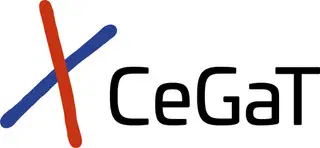 section media