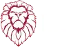 section media